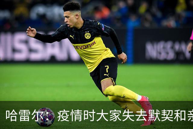 哈雷尔：疫情时大家失去默契&亲朋去世 况且热火三巨头首年也输了